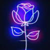 murray_alex